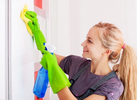 Professional mattress cleaning process in a bedroom