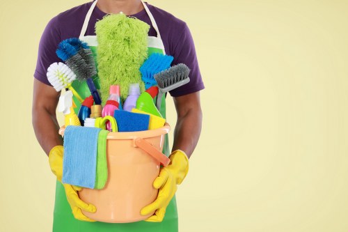 Professional carpet cleaning in a bright living room
