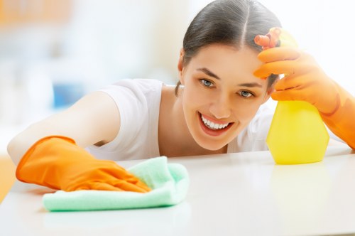 Professional Queens Park cleaners providing detailed home cleaning support