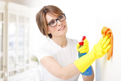 Professional house cleaning tasks in Queens Park