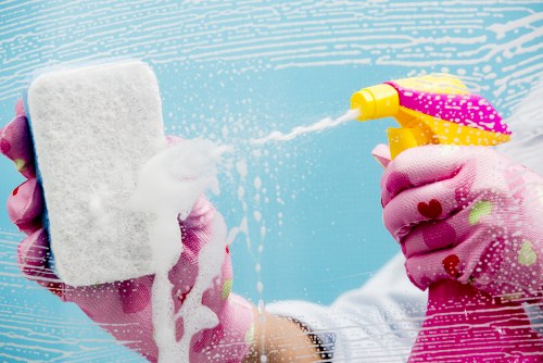 Weekly domestic cleaning supplies and checklist