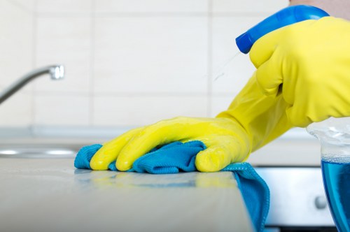 Professional sofa cleaning equipment on upholstery