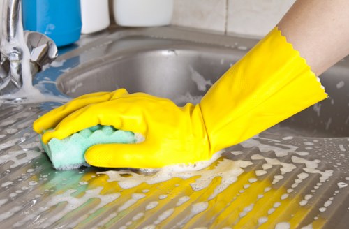 Technician performing detailed oven cleaning service