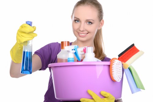 Professional cleaning of cabinets and surfaces before move in