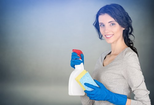 Vacuuming and stain treatment during sofa cleaning